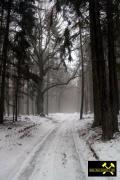 Findling 2 bei Haselberg nahe Wierzen in der Märkischen Schweiz, Brandenburg, (D) (3) 24. Januar 2016.JPG